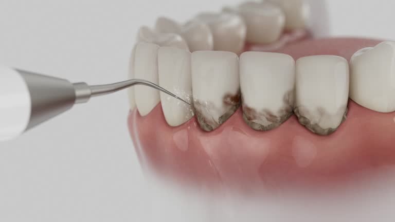 Reliable Dental contractor in Santa Monica, CA by Dentist Open Now